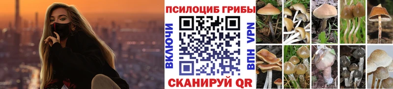Галлюциногенные грибы ЛСД  цены   Сорск 